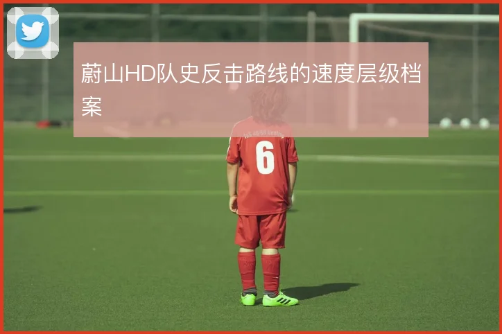 蔚山HD队史反击路线的速度层级档案